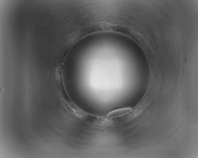 X0000073830768200608101203