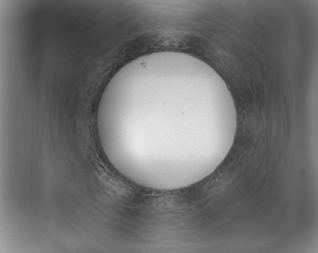 X0000073830769200608101202