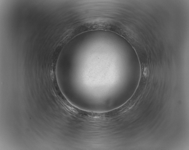 X0000073830771200608101202