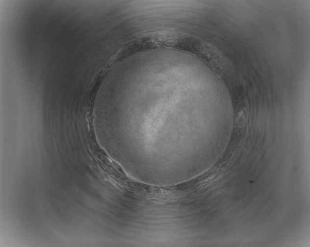 X0000073830772200608101202