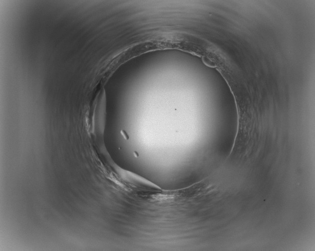 X0000073830773200608101202