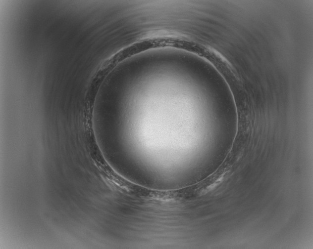 X0000073830775200608101202