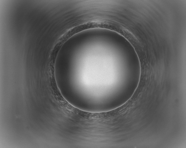 X0000073830776200608101202