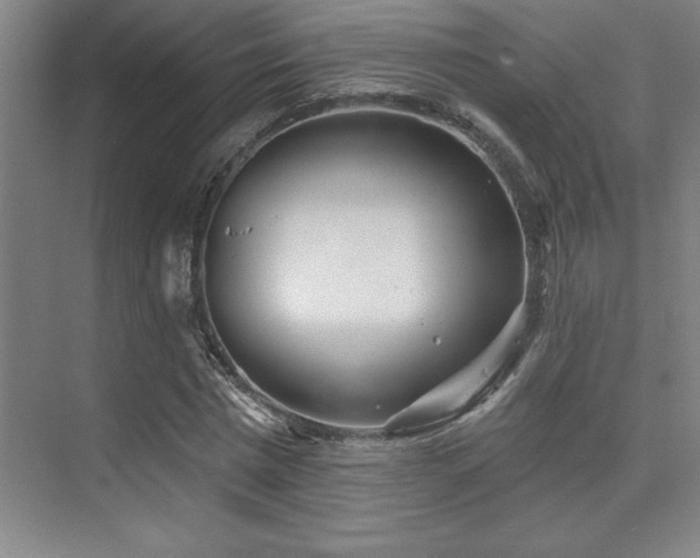 X0000073830777200608101202