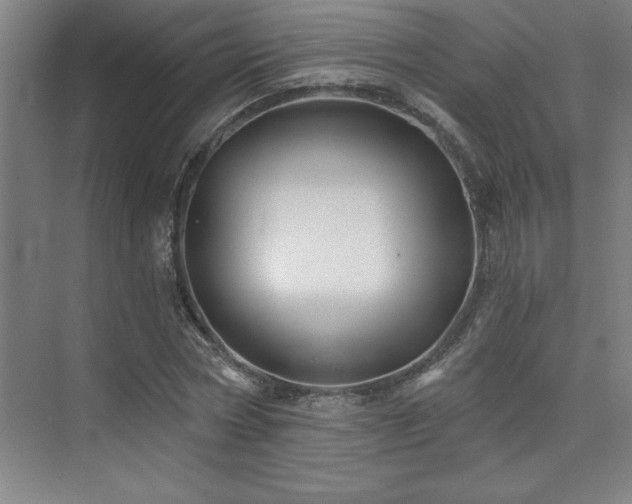 X0000073830778200608101202