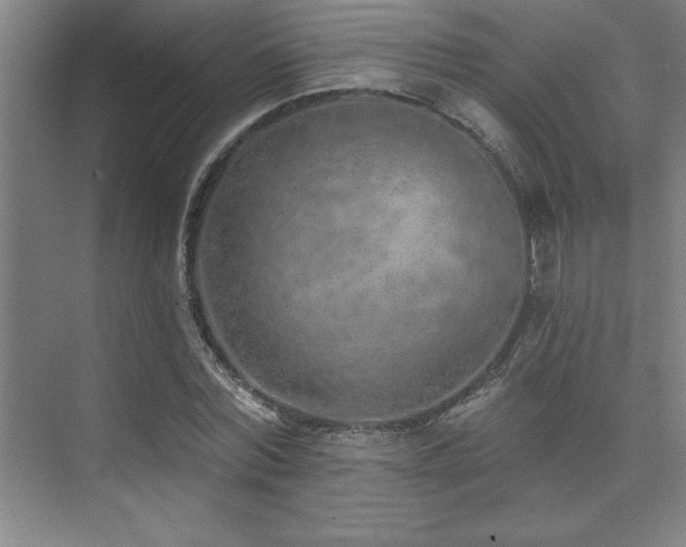 X0000073830780200608101202