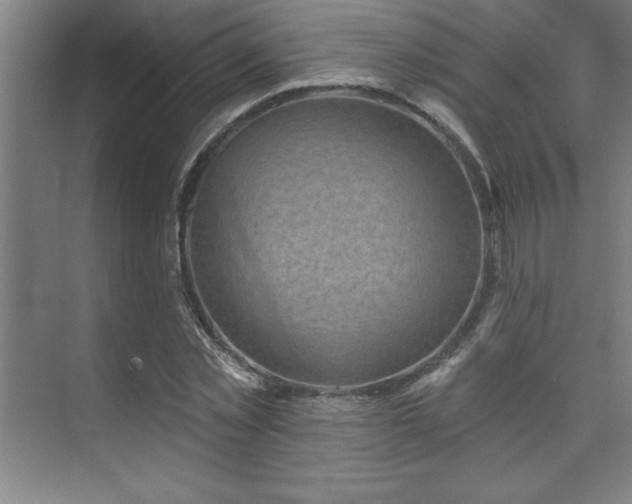 X0000073830781200608101202