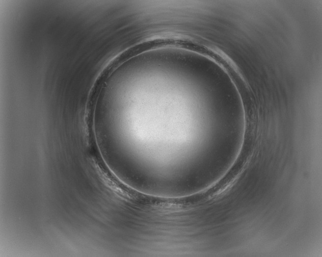 X0000073830783200608101202