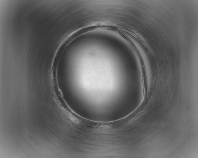 X0000073830784200608101202