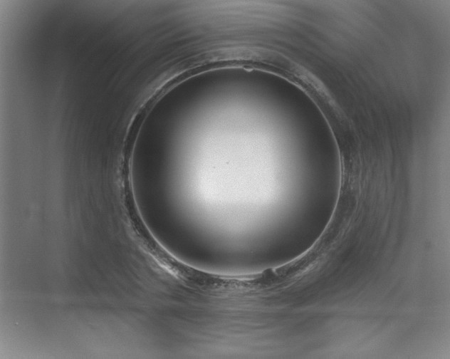 X0000073830786200608101202