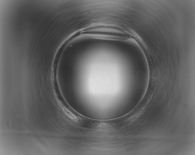 X0000073830787200608101202