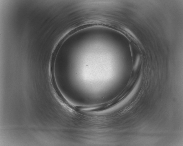 X0000073830788200608101202