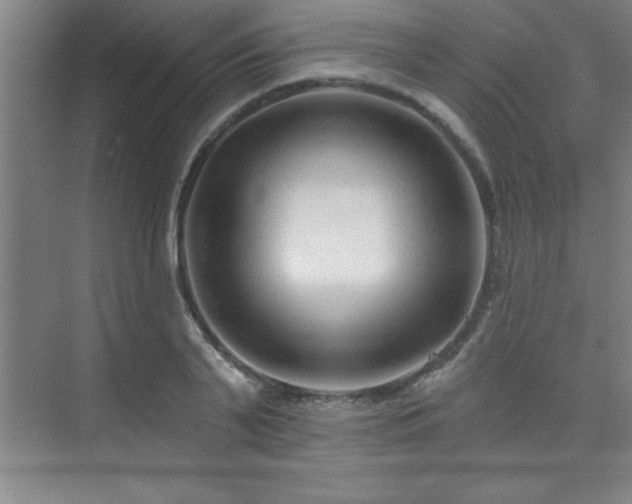 X0000073830791200608101202