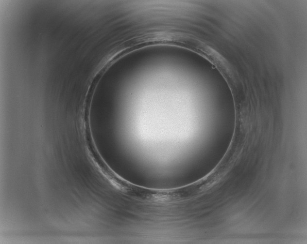 X0000073830794200608101202