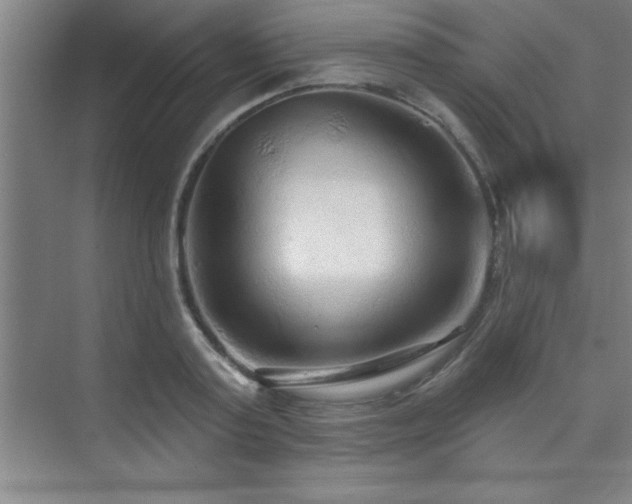 X0000073830795200608101202