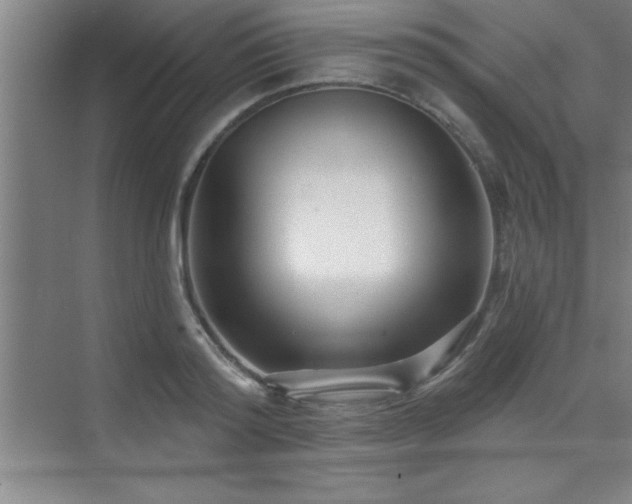 X0000073830796200608101202