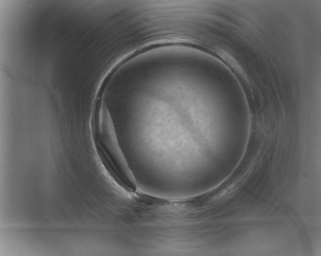 X0000073830797200608101202