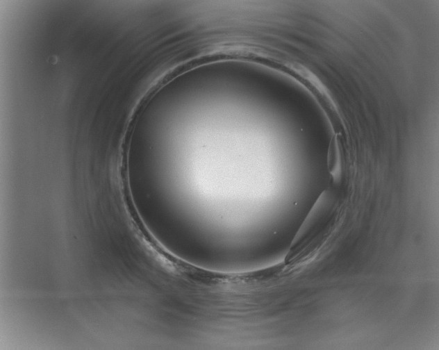 X0000073830799200608101202