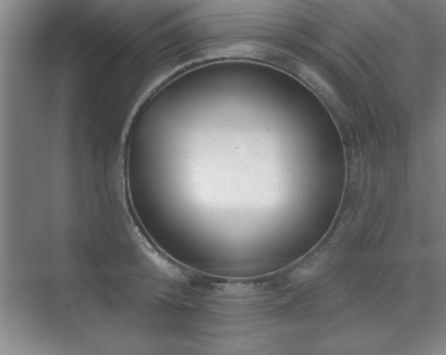 X0000073830800200608101202