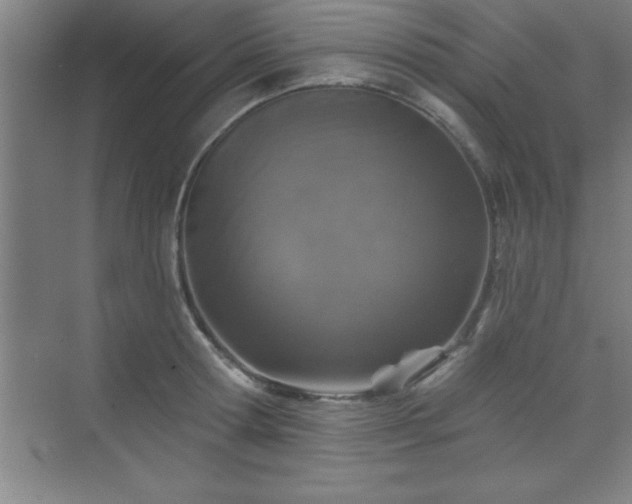 X0000073830802200608101202