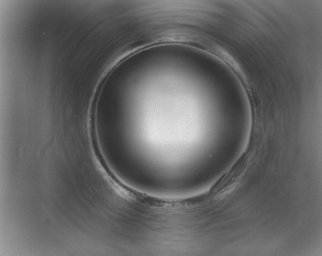 X0000073830803200608101202