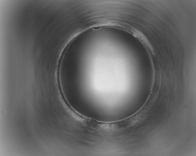 X0000073830805200608101202