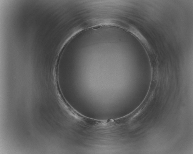 X0000073830806200608101202