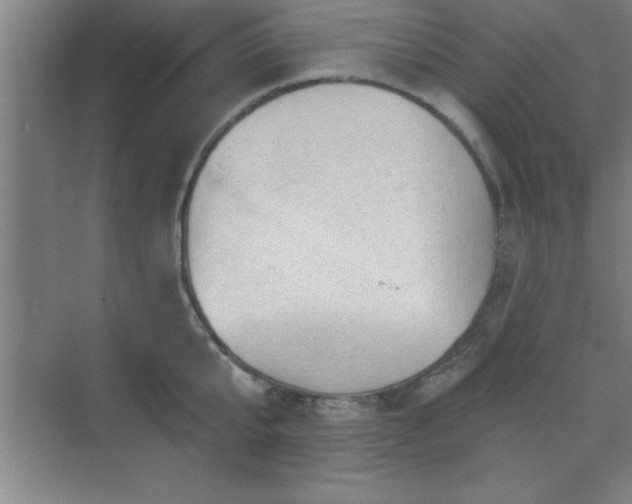 X0000073830807200608101202