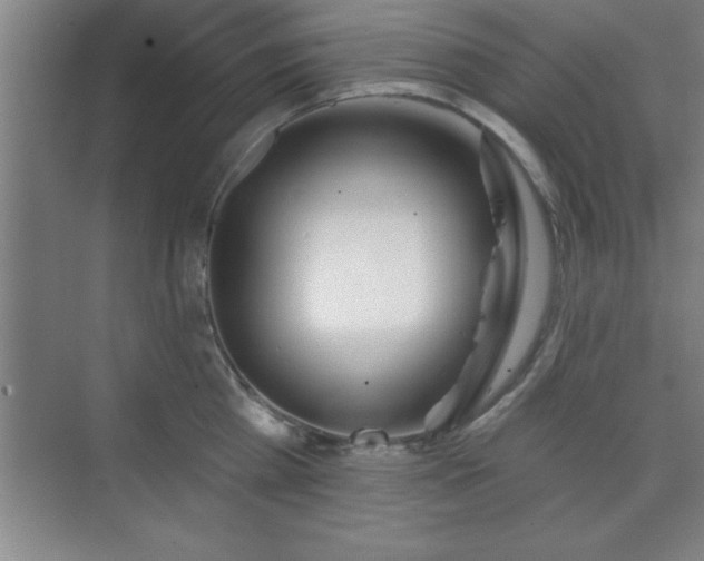 X0000073830809200608101202