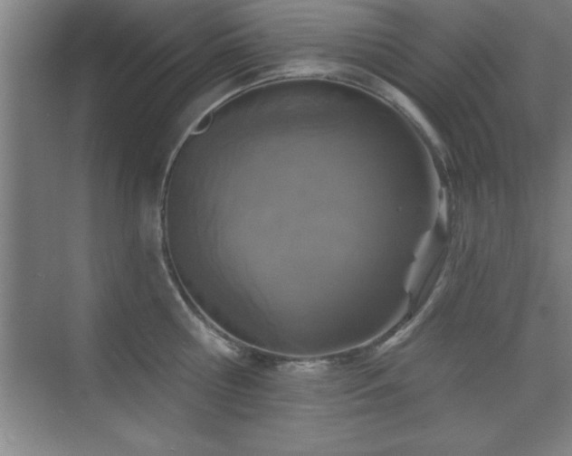 X0000073830810200608101202