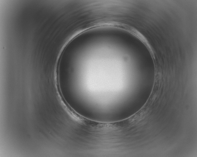 X0000073830811200608101202