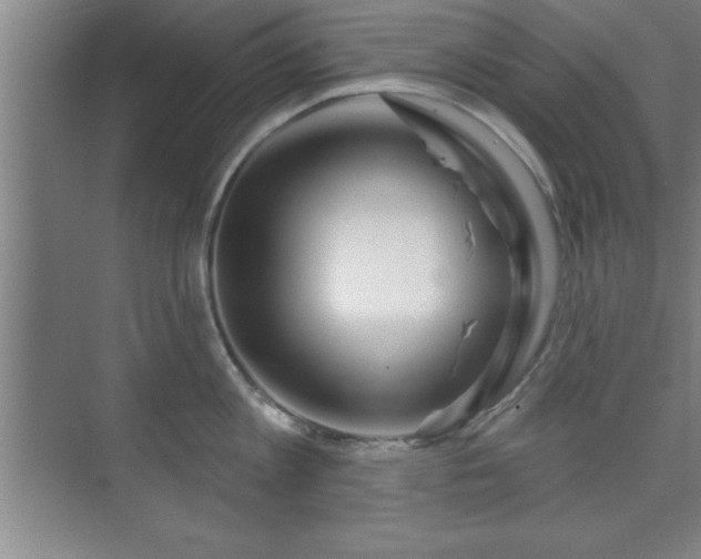 X0000073830813200608101202