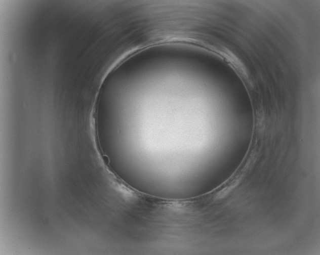 X0000073830814200608101202