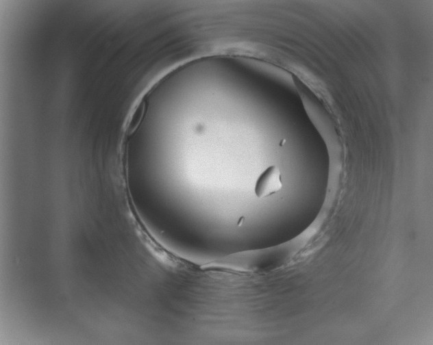 X0000073830816200608101202