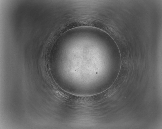 X0000073830817200608101201