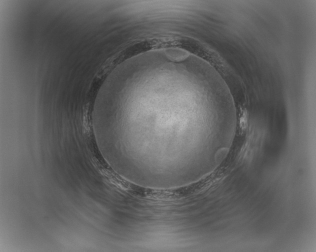 X0000073830819200608101201