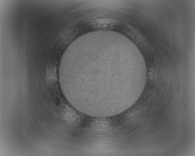 X0000073830820200608101201