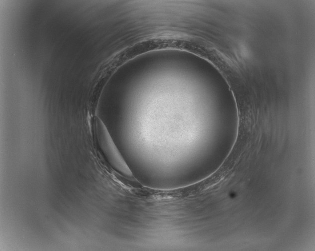 X0000073830821200608101201