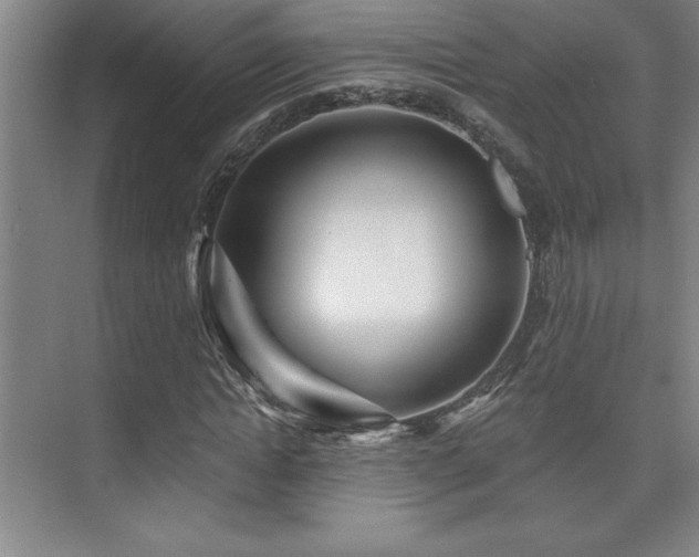 X0000073830822200608101201