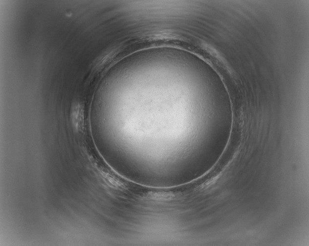 X0000073830825200608101201