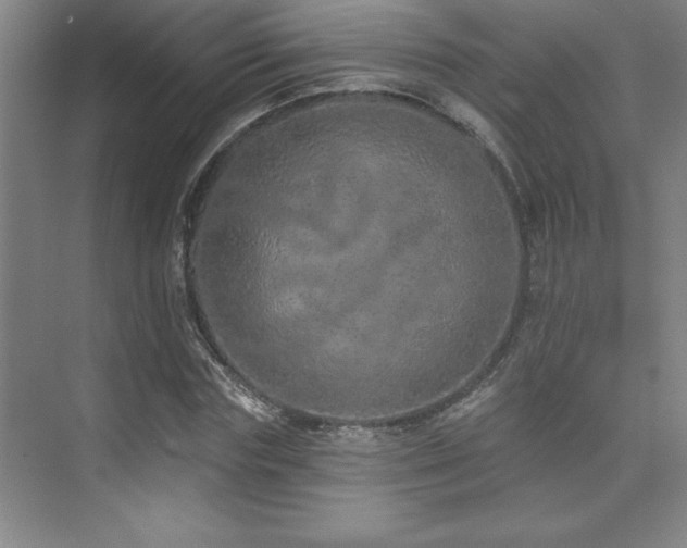 X0000073830827200608101201