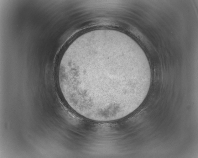 X0000073830828200608101201