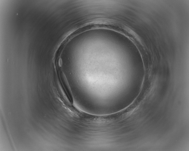 X0000073830829200608101201