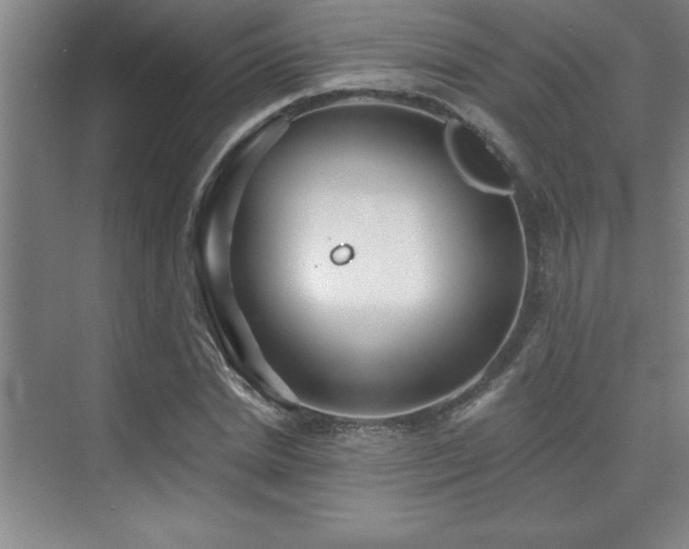 X0000073830830200608101201