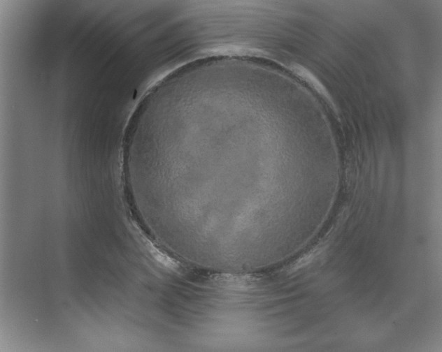 X0000073830831200608101201