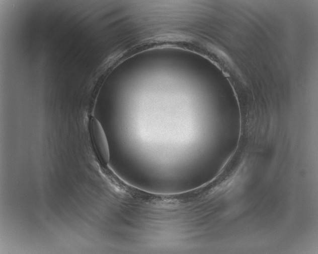 X0000073830833200608101201