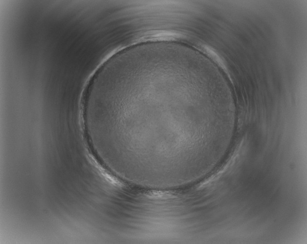 X0000073830835200608101201