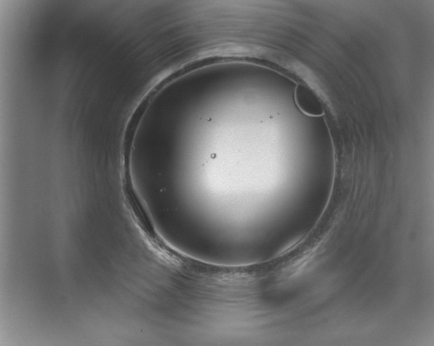 X0000073830837200608101201