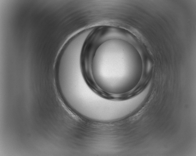 X0000073830838200608101201