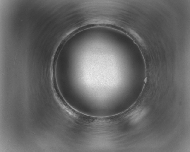 X0000073830840200608101201